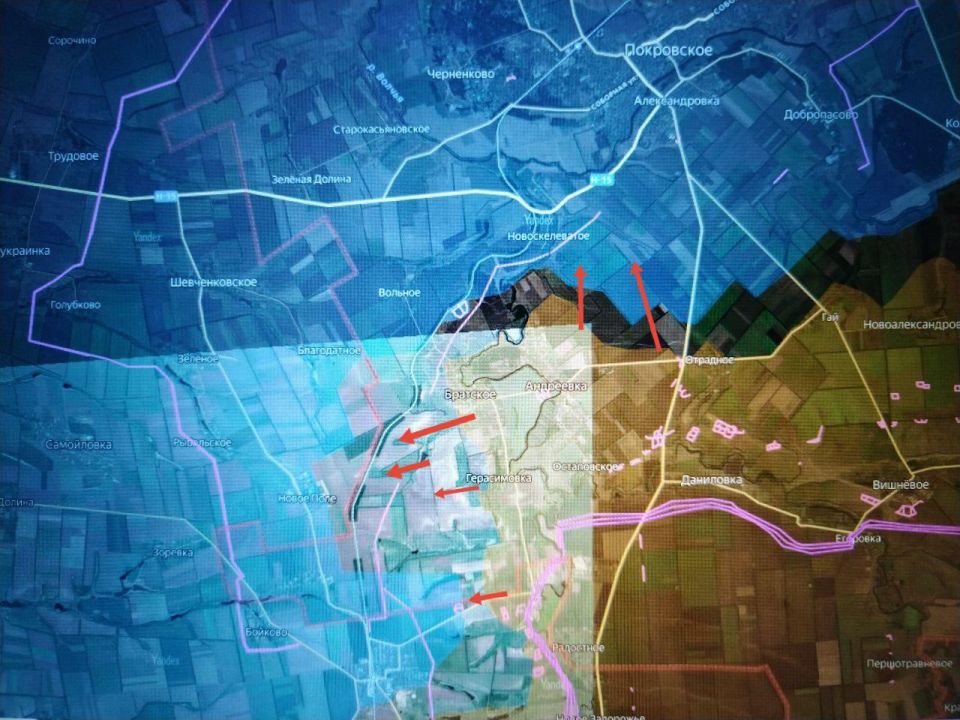 ���� �������: ����������� �����������. ��������� �����