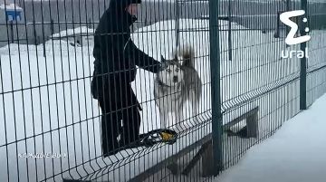 Ural Mash ���� �������� ����� � ������ ��� ��������� � ������� ����� ������ � ����