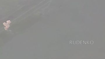 ������ �������: ��������� ���� �Zala� ����� ����������� ������ ����������� ����� ������ ��������������� ����������� ��������������� ������ ��� �� ������������ ������ � ���������� �������