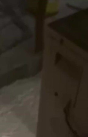 ������ �������: ���� ����������� �� ��������� ������� � ���������������