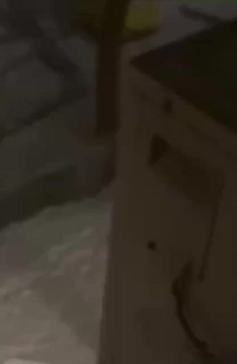 ���� ������ � ���������������