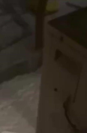 ���� ������ � ���������������