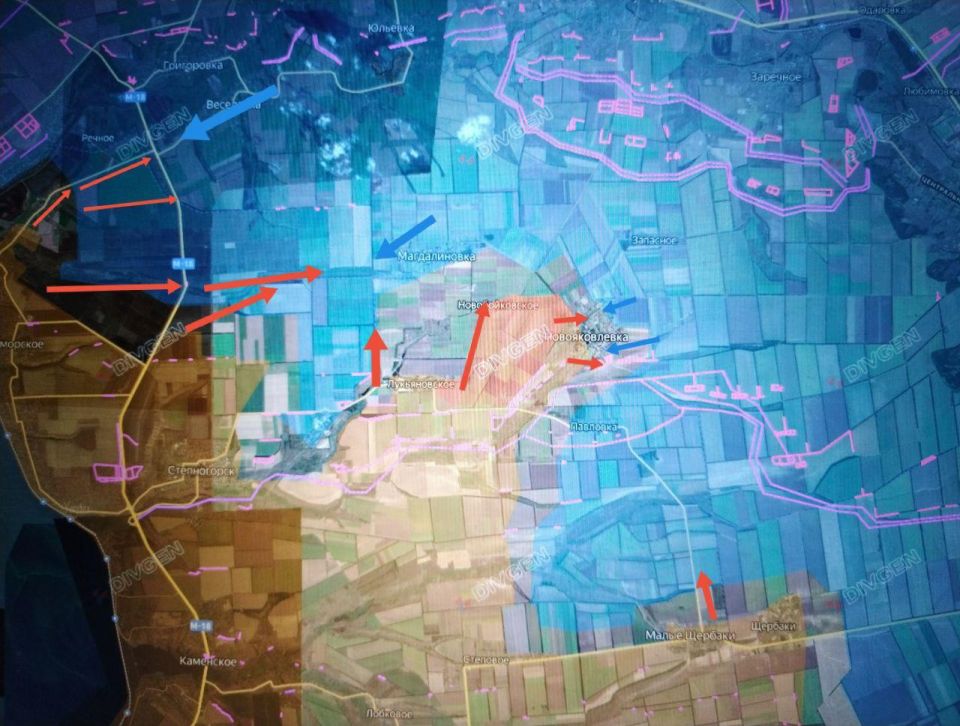 ���� �������: ����������� �����������. �������� �����