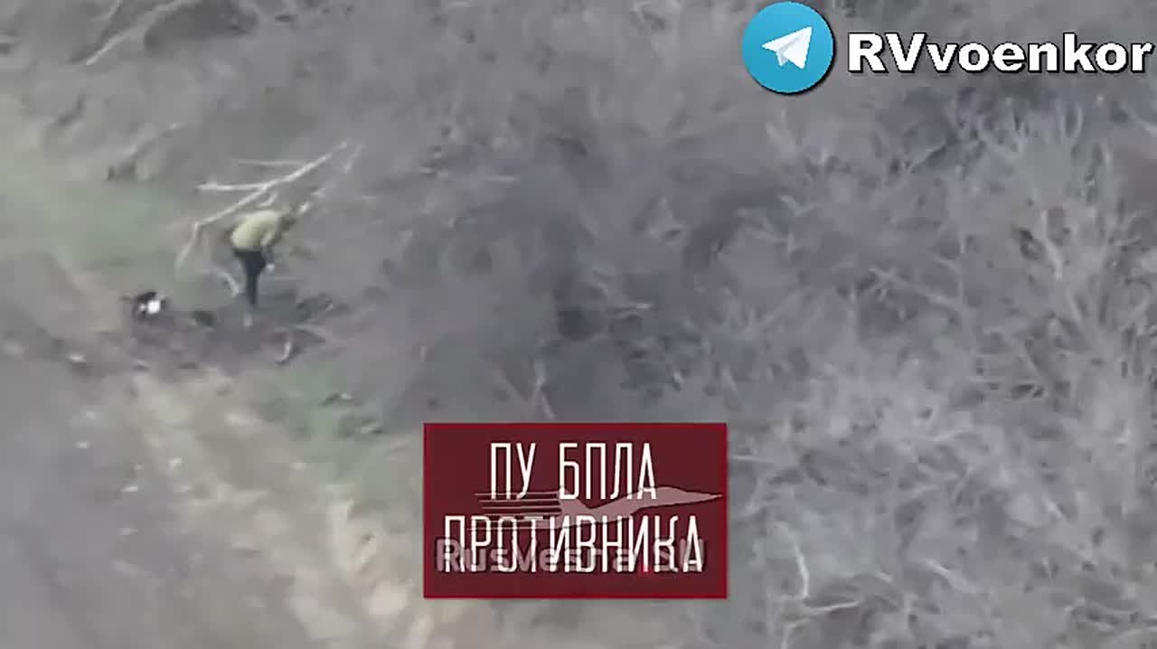 «тважные» массово уничтожают контратакующую пехоту и технику ВСУ под Покровском и в Днепропетровской области