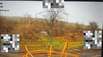 �������� �����: ��� ������� �������� ��������� ���� �����������