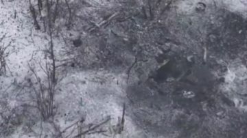 ���������� ��������� ���������� ������� � ������ ������ ��� � ������� ������� � ����������� �������