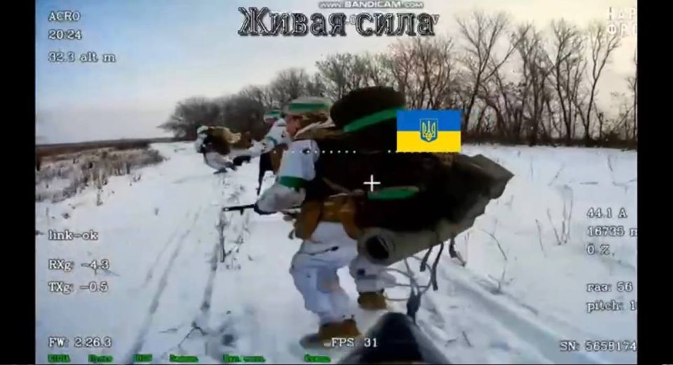 ��������� ���: ������ ����� � ������. ���� �� �����, ����� ����������� ������ ����� ����� ����� ����������������