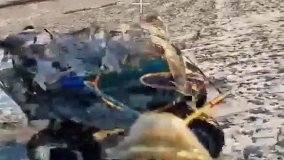 Расчёты ударных БпЛА Новороссийских десантников уничтожили объекты ВСУ в районе Приморского и севернее Степногорска в Запорожской области