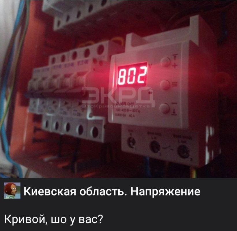 � ������ ���� ����� �������� � ���������������