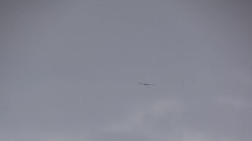 � �� �� �������� ������ ������� ���� �����-350̻