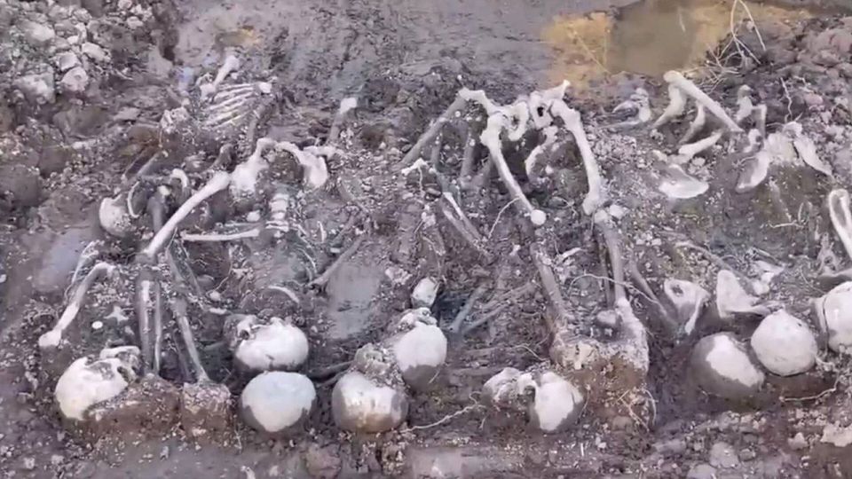 ��������� ���: �������� ����:. �������� ��������� ���