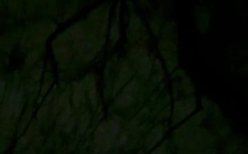 ����� ������� � �������� � ���������������