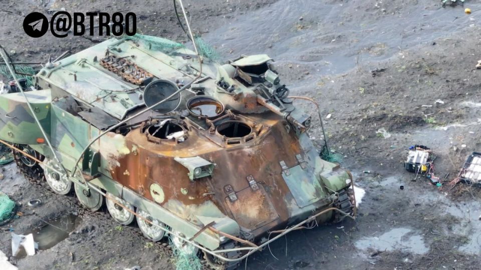 ������������ � ���� �����: ������ �������� ��������� �������� ���, ��������������� � ������������ �����