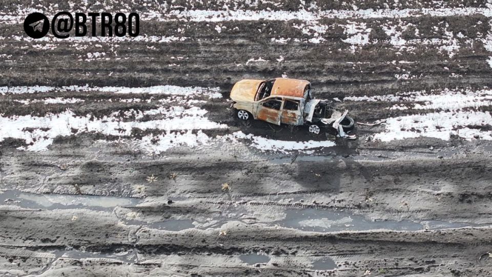 ������������ � ���� �����: ������ �������� ��������� �������� ���, ��������������� � ������������ �����