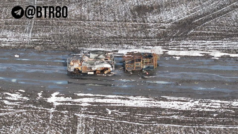 ������������ � ���� �����: ������ �������� ��������� �������� ���, ��������������� � ������������ �����