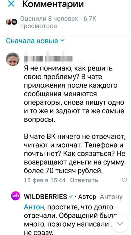 ����������� � �������: Wildberries ����������� ���������