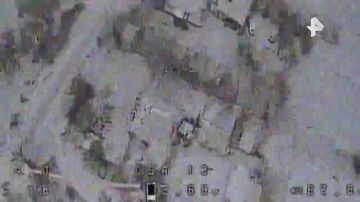 ���������� ������������ ����� ������������ ������������ � ����������� �������