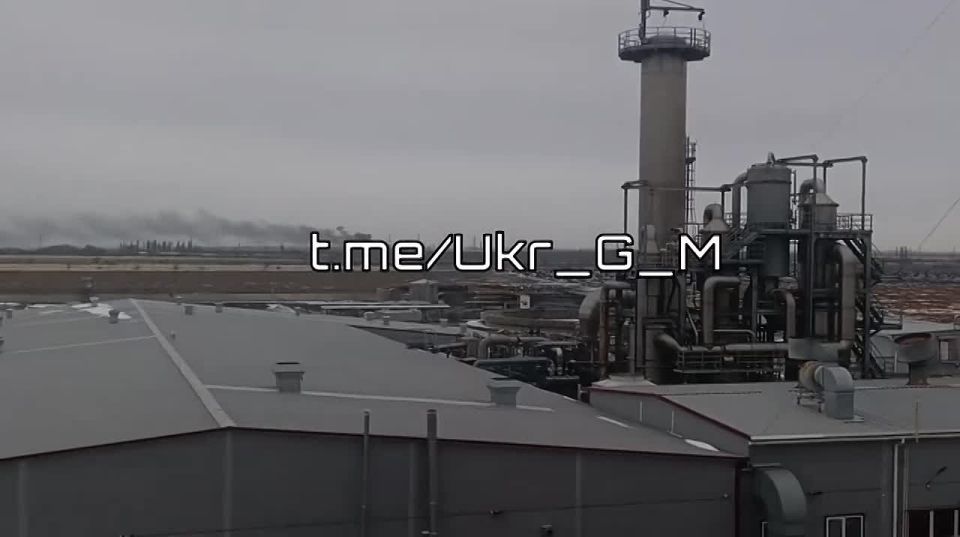 ��������� ����� ������� �� ����������������� � ���� ���������� ������������ ������� �������