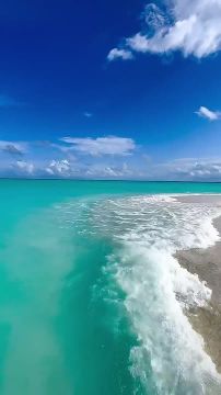 Трудись тихо. Пусть успех будет шумом