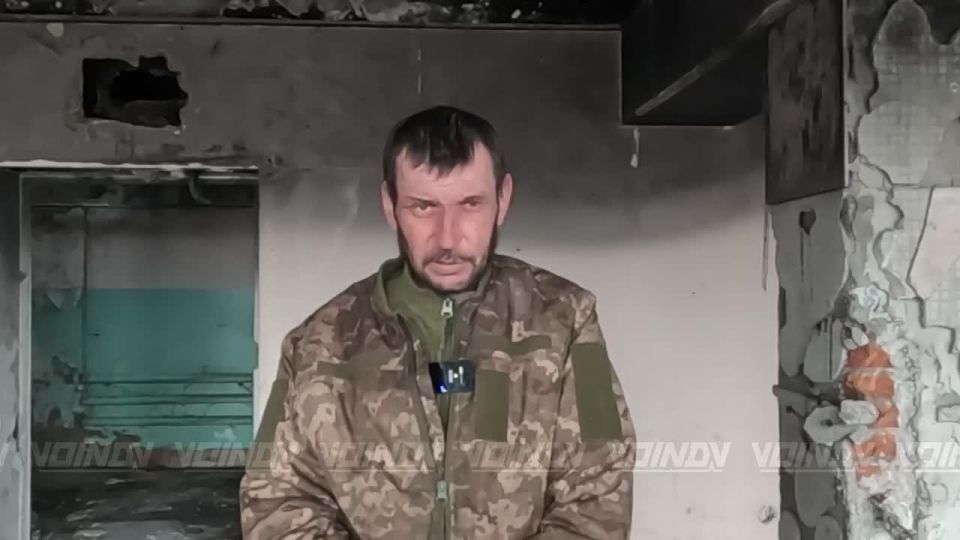 95 ���� ��� ���������� ����� ����� ����� �� ����