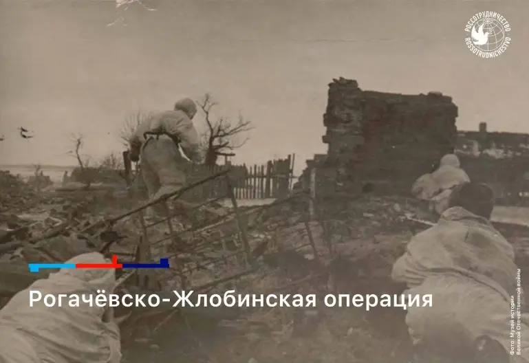 24 февраля 1944 года завершилась Рогачёвско-Жлобинская наступательная операция, ставшая важным этапом освобождения Белоруссии