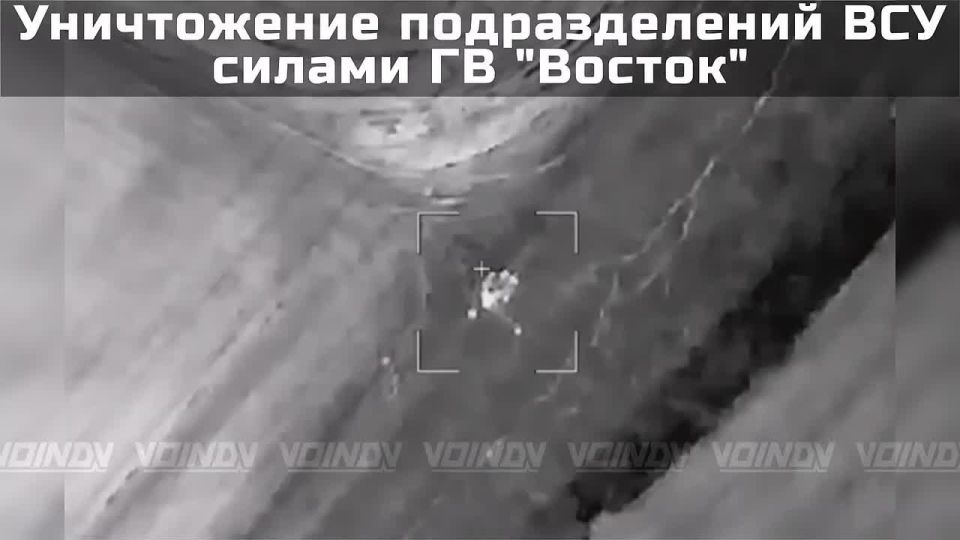 ���� ��������: �������� ����������� ��� � ���������������� �������