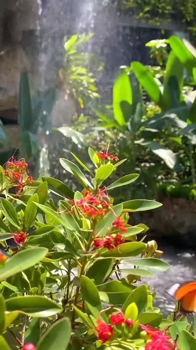 Позитивное отношение к жизни может творить чудеса. Оно продлевает жизнь, делает вашу походку бодрой, а глаза — сияющими