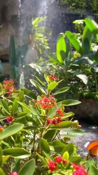 ���������� ��������� � ����� ����� ������� ������. ��� ���������� �����, ������ ���� ������� ������, � ����� � ��������