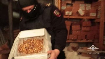 Сладкая жизнь закончилась: силовики накрыли подпольную шоколадную фабрику с десятью тоннами сладкого контрафакта во Владимирской области