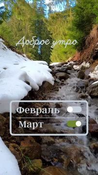 ��������� ���������� �����. ����� ������� ����� �������� ���� ��������, ������������ ���� ���� �������� �����