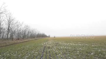 Андрей Руденко: Кадры уничтожения блиндажа ВСУ районе н.п. Орехов в Запорожской области расчётами FPV-дронов войск беспилотных систем 58-й общевойсковой армии группировки войск «Днепр»