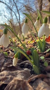 Забавная вещь: как только вы начинаете замечать то, за что вы благодарны, вы начинаете забывать о том, чего вам не хватает