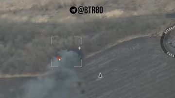 "Ланцет" размозжил французскую САУ "Цезарь" на Днепропетровском направлении