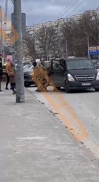 Днепропетровск: ТЦК снова "на службе обществу"
