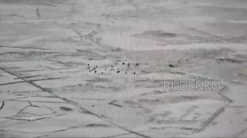 ������ �������: ������ ���� ��-21 ����� ����������� ����� ������ ��������� ��������� ������ ���������� �������� � ������� � ������ ������� ����������� �������