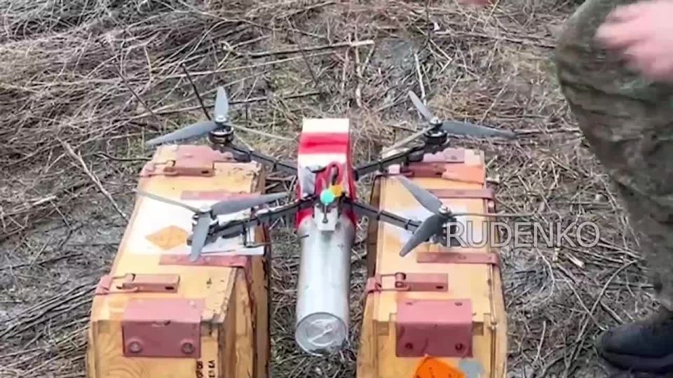 ������ �������: ������������� ����� ����������� ������ � ������� 90-� ����������� �������� ������� ��� ������ ���������� ���������� ���� �� ���������������� �����������