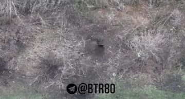 ������������ ��������: FPV ����������� ����� ��������� ������� ����� ���������� � ����� ���������� ������