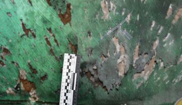 � ������������ ������ ��������� ������� ������