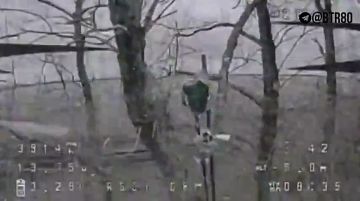 ����������� ����� ��������� � ���������������� ������� � ���������� ��� �� ��������������� �����������