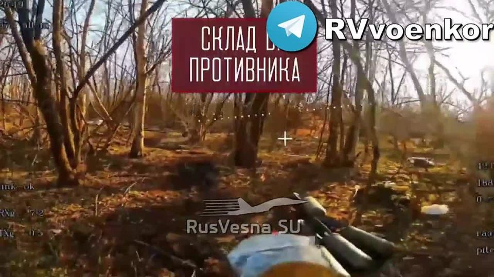 �������� ������ ������� � ������ ����� � ���� �� ����������, ����������� � � ���������������� �������