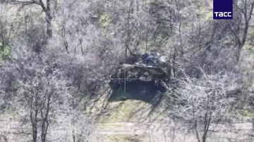 ����� �� �� ���������� � ����� ������� ����� ��� �� ������������ ������, ������� ���� �������� ������� ����