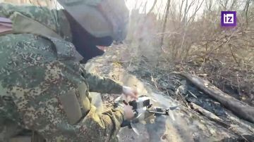 Расчеты беспилотных систем пресекли попытку накопления резервов ВСУ в Днепропетровской области, сообщили в Минобороны РФ