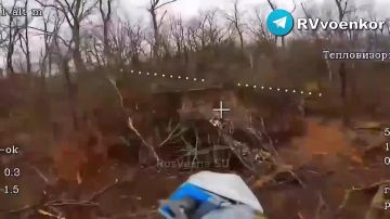 �������� ������ ������� � ������ ����� � ���� �� ����������, ����������� � � ���������������� �������