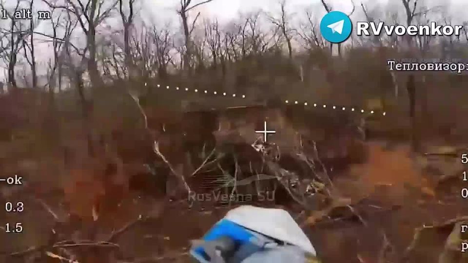 �������� ������ ������� � ������ ����� � ���� �� ����������, ����������� � � ���������������� �������