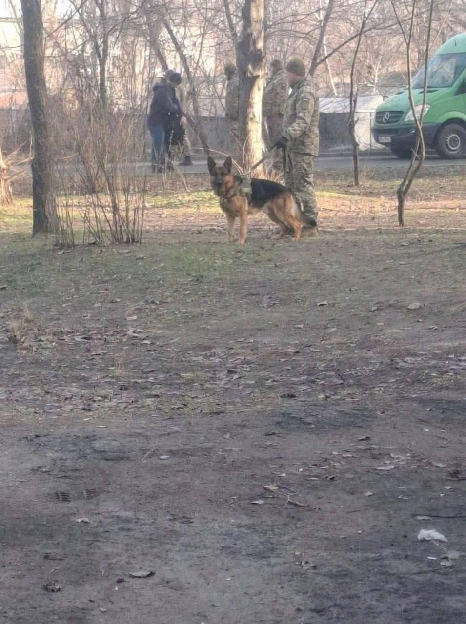 По старой доброй фашистской традиции заключённых концлагеря охраняют с собаками По старой доброй фашистской традиции заключённых концлагеря охраняют с собаками