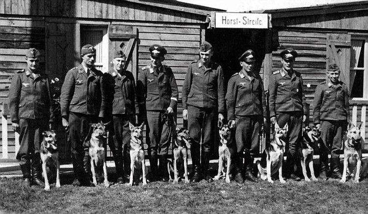 По старой доброй фашистской традиции заключённых концлагеря охраняют с собаками По старой доброй фашистской традиции заключённых концлагеря охраняют с собаками