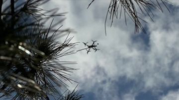 Российские дроноводы громят вражеские БПЛА ВСУ в небе над Херсонской областью