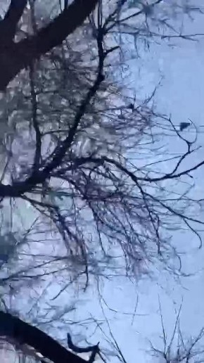 ���������� ����-��������� ���� "������-2" �������� �� ����� � ������ ����