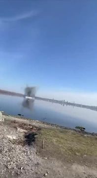 Геранька в Днепропетровске