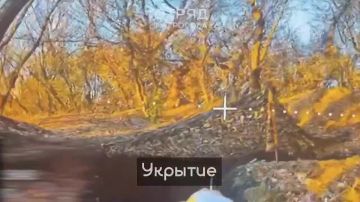 ����� ��. ����� ���������� ����� ���������� ��������� ���������� ������ ������������!